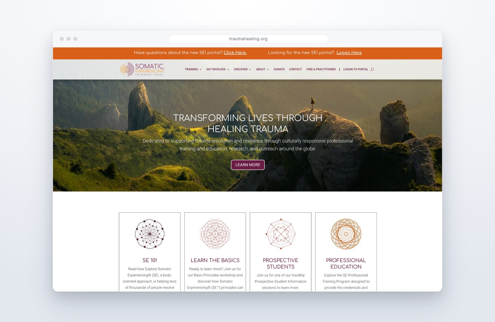 Somatic Experiencing Somatic Experiencing International website homepage